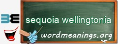 WordMeaning blackboard for sequoia wellingtonia